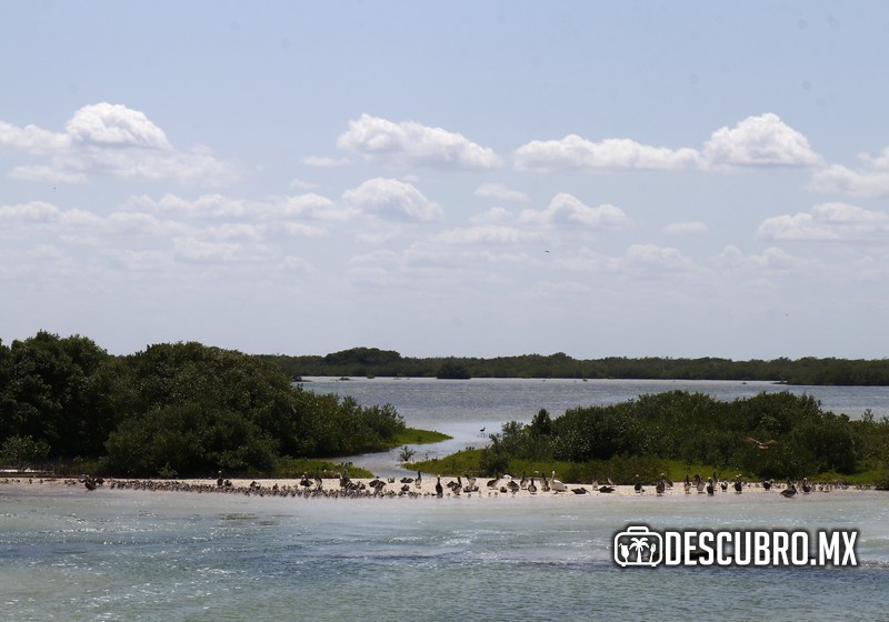 Conoce el puerto de Chabihau en Yucatán ¡Te sorprenderá!