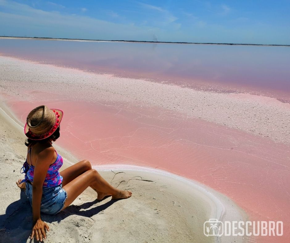 ¿Qué hacer en Las Coloradas? Las playas rosas de Yucatán - Descubro