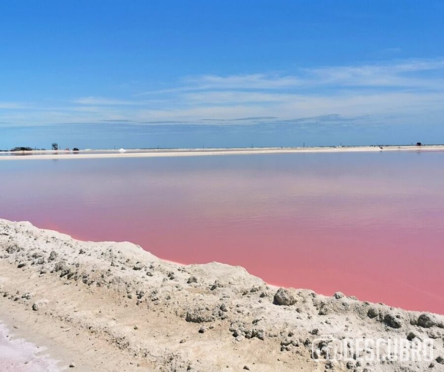 ¿Qué hacer en Las Coloradas? Las playas rosas de Yucatán - Descubro