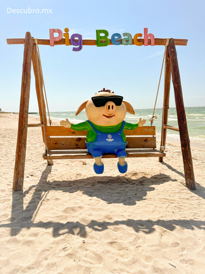 Lo nuevo en Pig beach, playa de cerditos en Yucatán