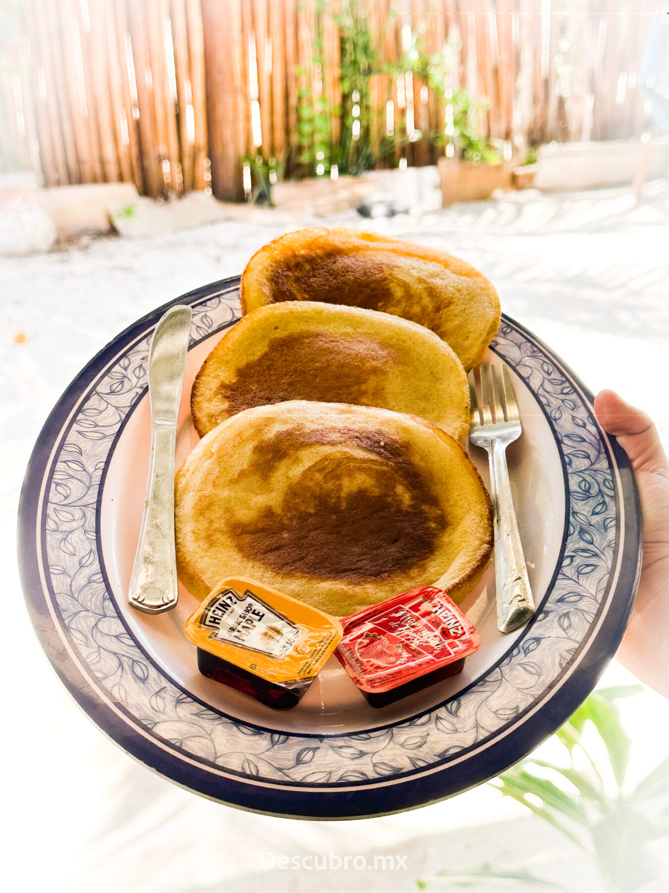 Cabañas y Casas FRIDA, la mejor opción en Chelem, Yucatán